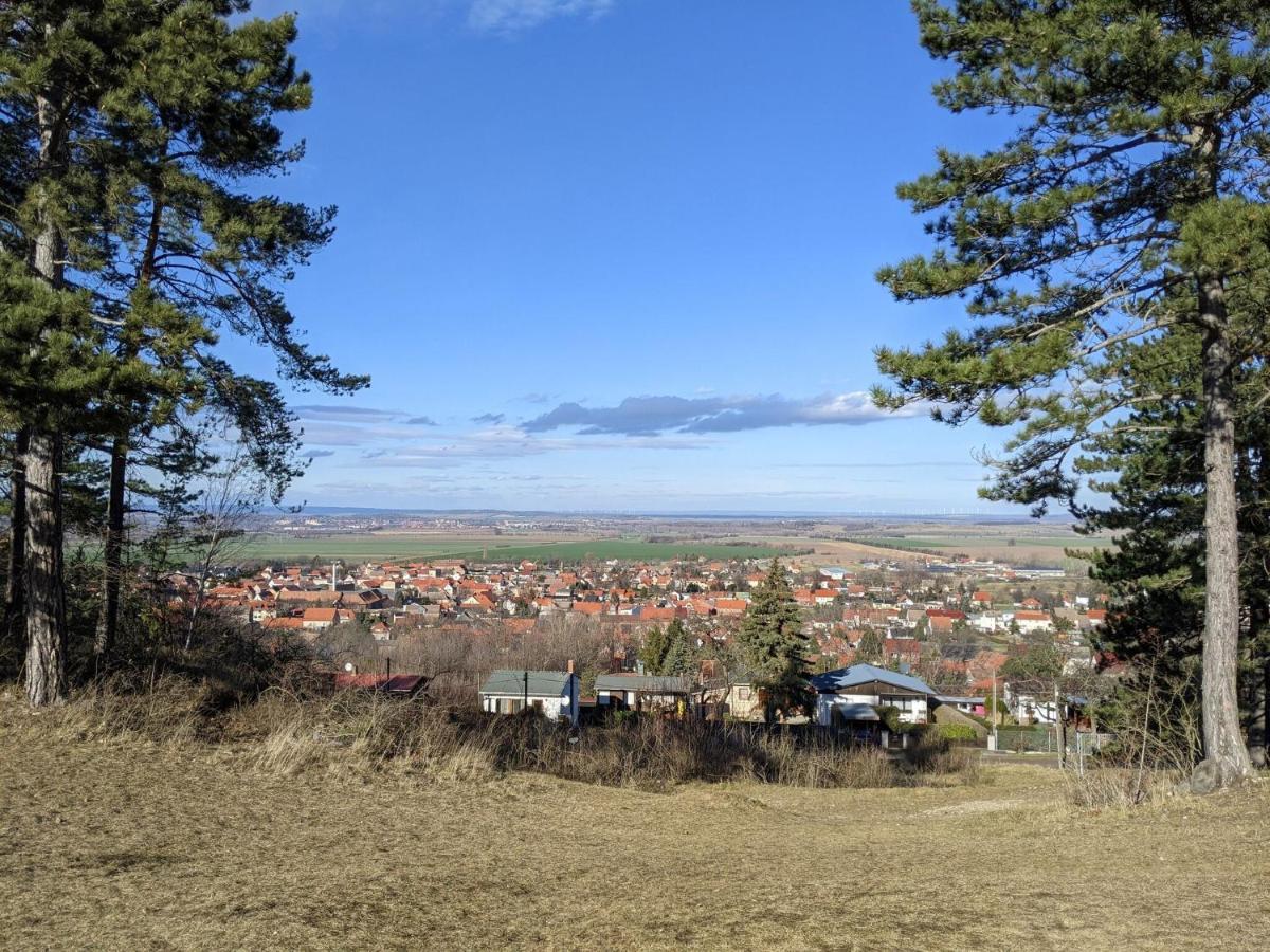 Holiday Home On The Mountain With Views Ballenstedt Eksteriør billede